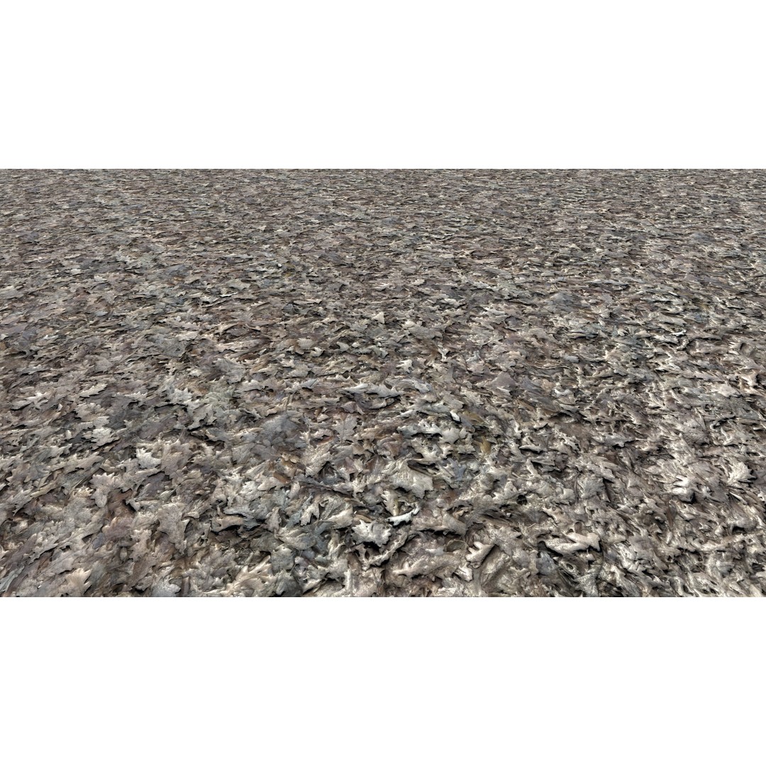 Realistic Terrain Textures 3D Model – PBR Natural Textures, 2K-6K Resolutions - View 17