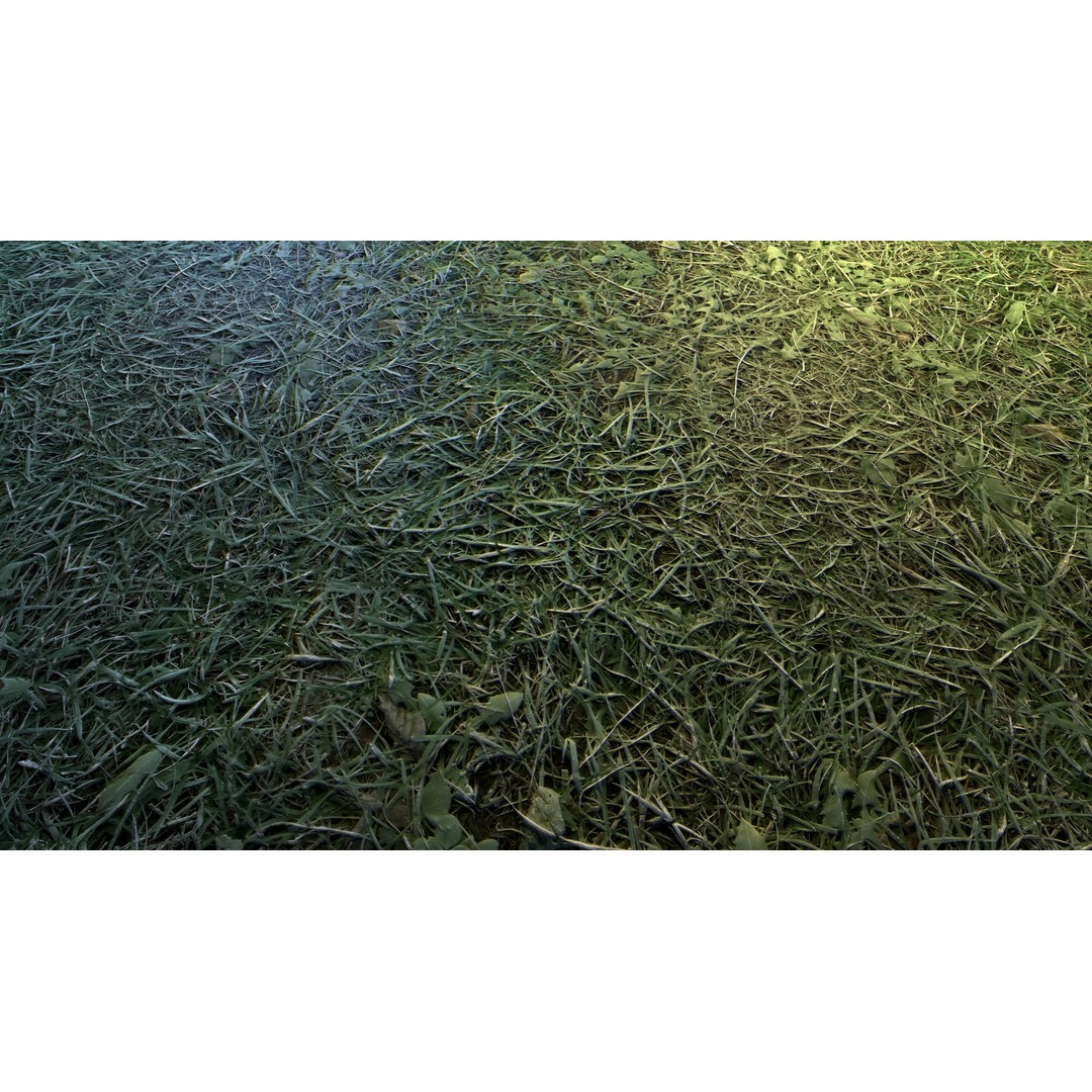 Realistic Terrain Textures 3D Model – PBR Natural Textures, 2K-6K Resolutions - View 18