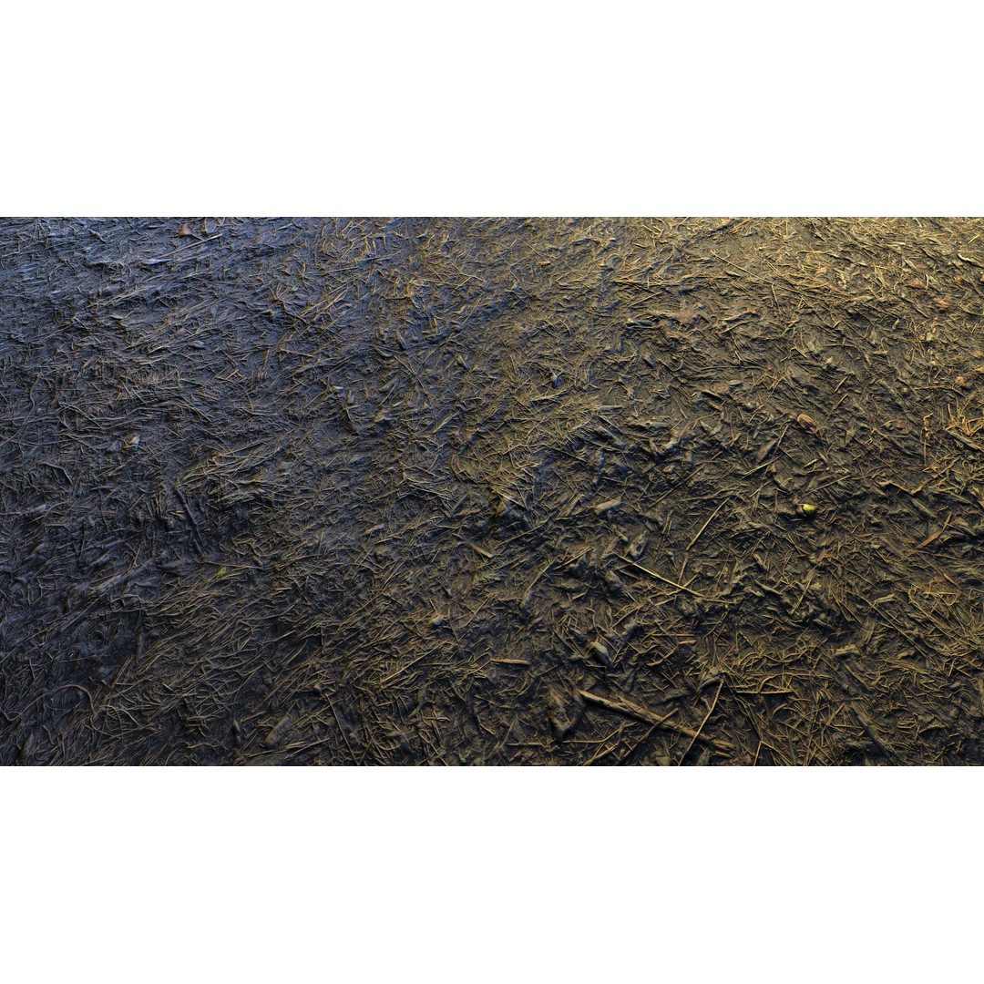 Realistic Terrain Textures 3D Model – PBR Natural Textures, 2K-6K Resolutions - View 19