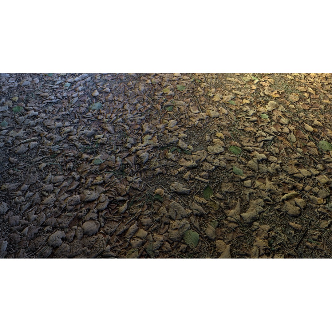 Realistic Terrain Textures 3D Model – PBR Natural Textures, 2K-6K Resolutions - View 20