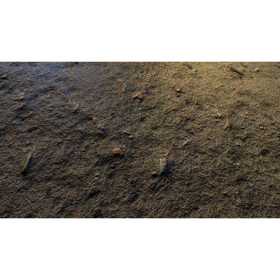 Realistic Terrain Textures 3D Model – PBR Natural Textures, 2K-6K Resolutions - View 27