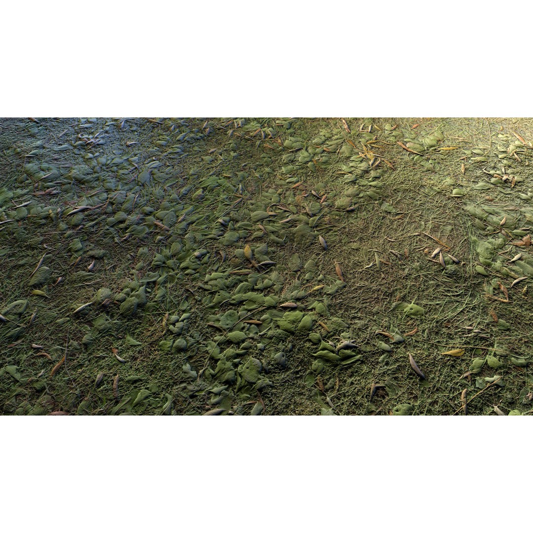 Realistic Terrain Textures 3D Model – PBR Natural Textures, 2K-6K Resolutions - View 28