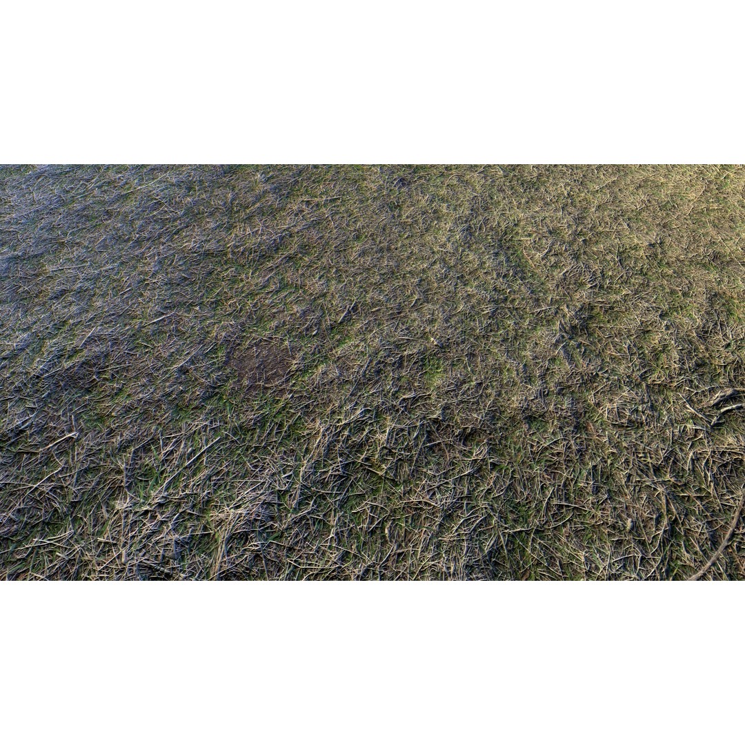 Realistic Terrain Textures 3D Model – PBR Natural Textures, 2K-6K Resolutions - View 30