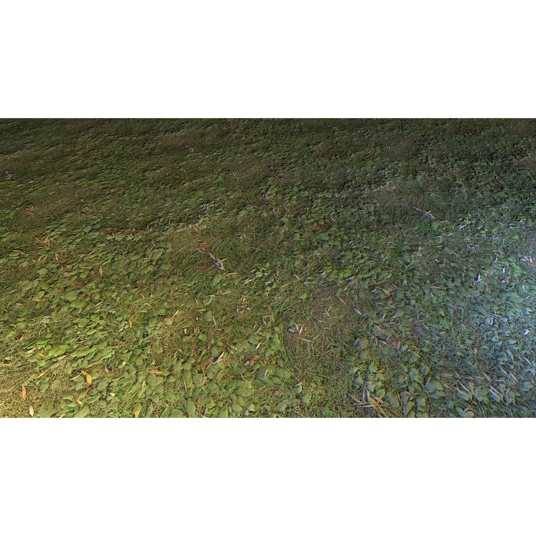 Realistic Terrain Textures 3D Model – PBR Natural Textures, 2K-6K Resolutions - View 34