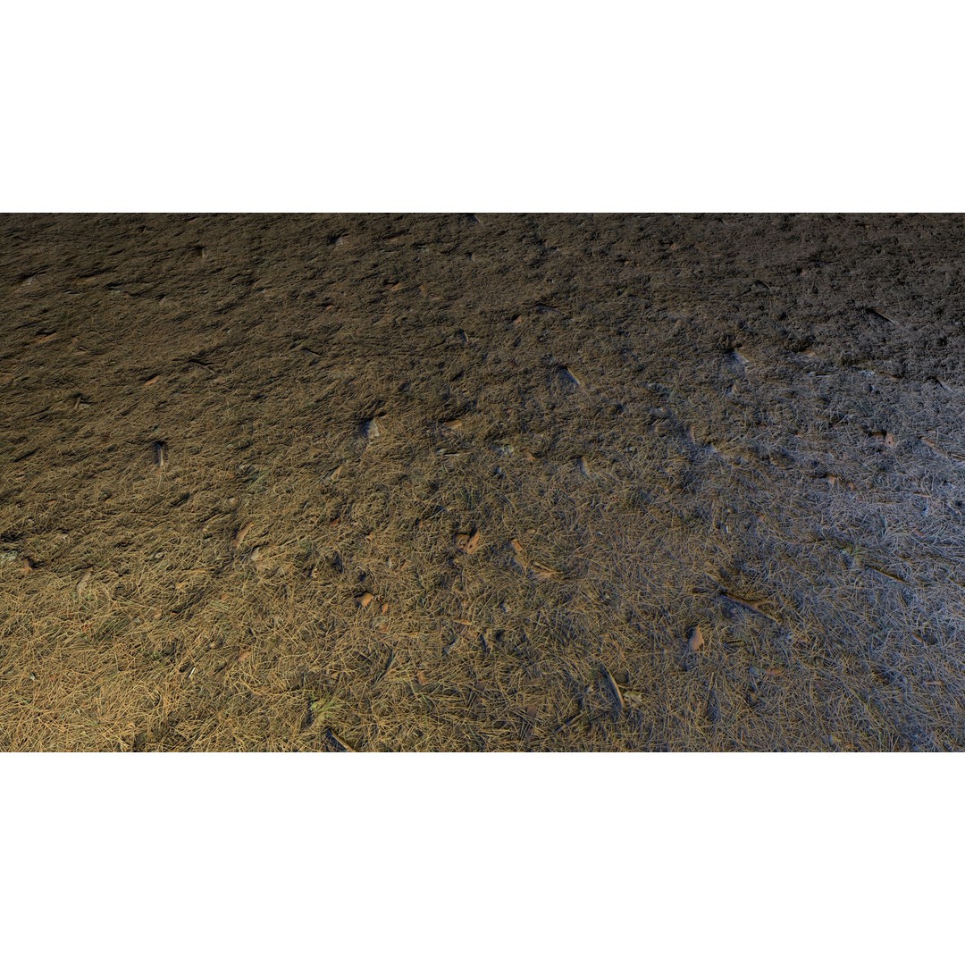 Realistic Terrain Textures 3D Model – PBR Natural Textures, 2K-6K Resolutions - View 35