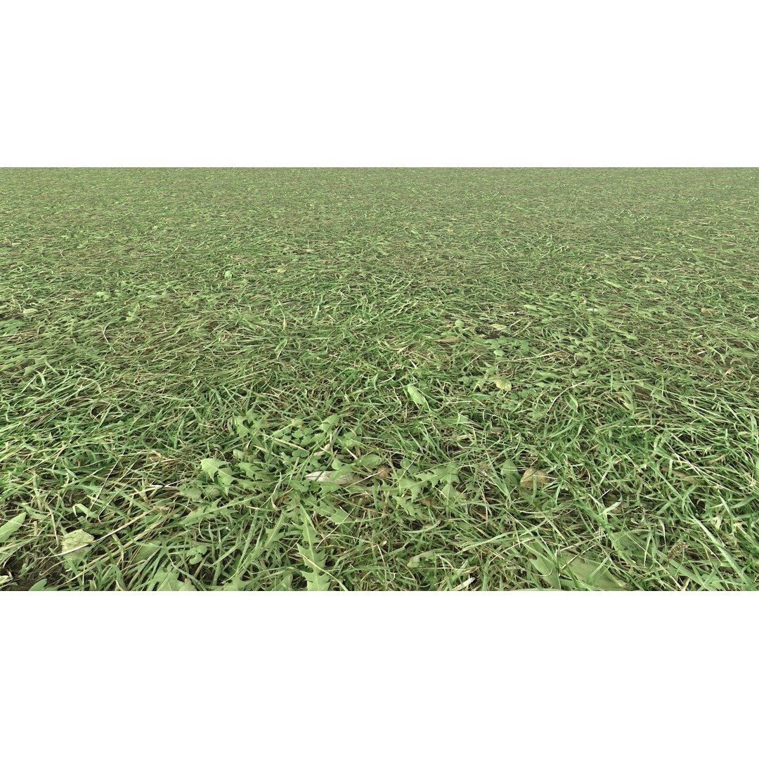 Realistic Terrain Textures 3D Model – PBR Natural Textures, 2K-6K Resolutions - View 4