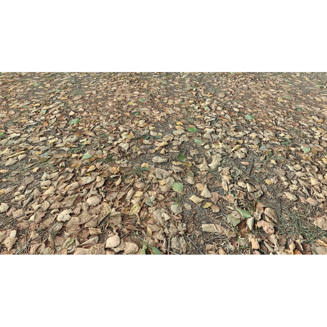 Realistic Terrain Textures 3D Model – PBR Natural Textures, 2K-6K Resolutions - View 5