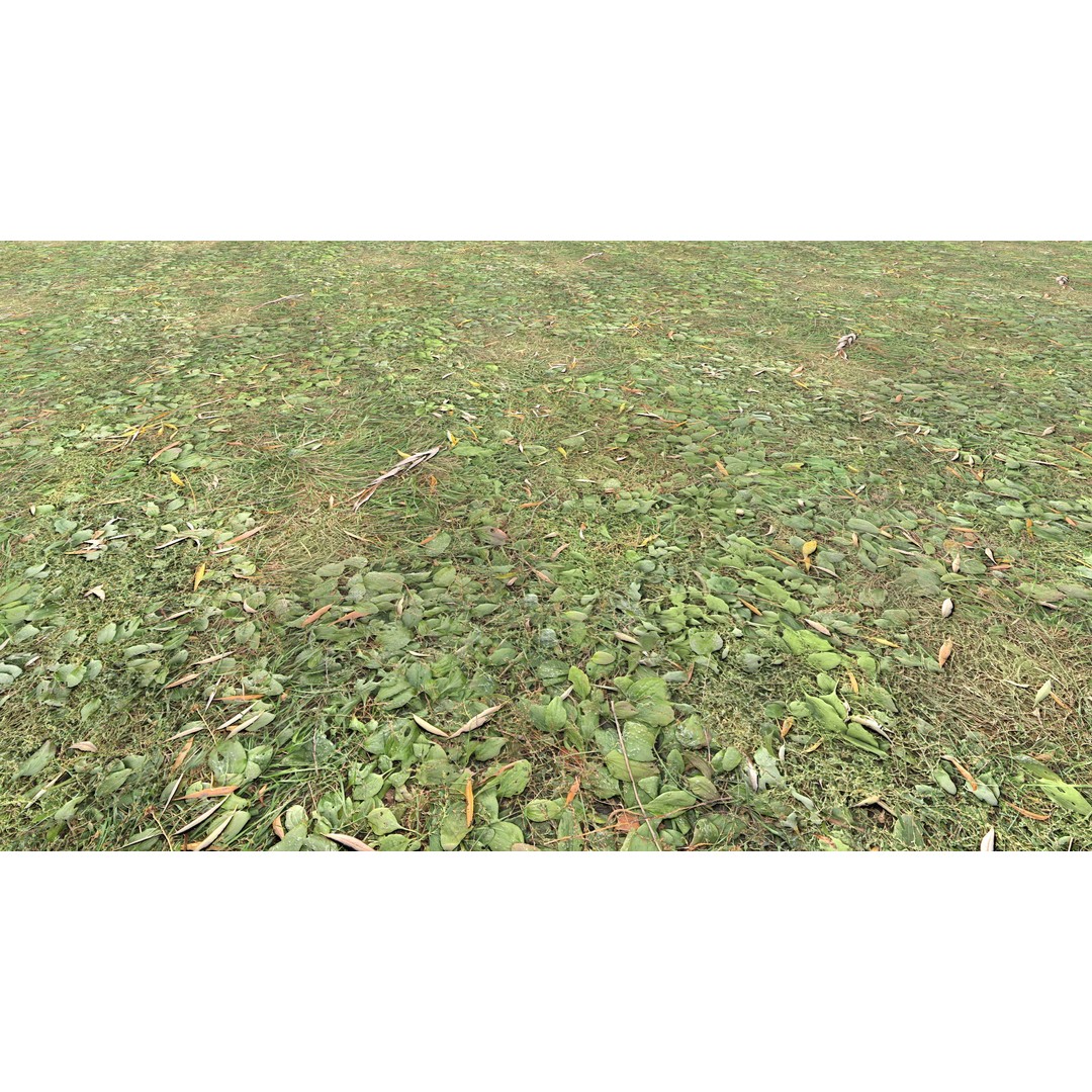 Realistic Terrain Textures 3D Model – PBR Natural Textures, 2K-6K Resolutions - View 6