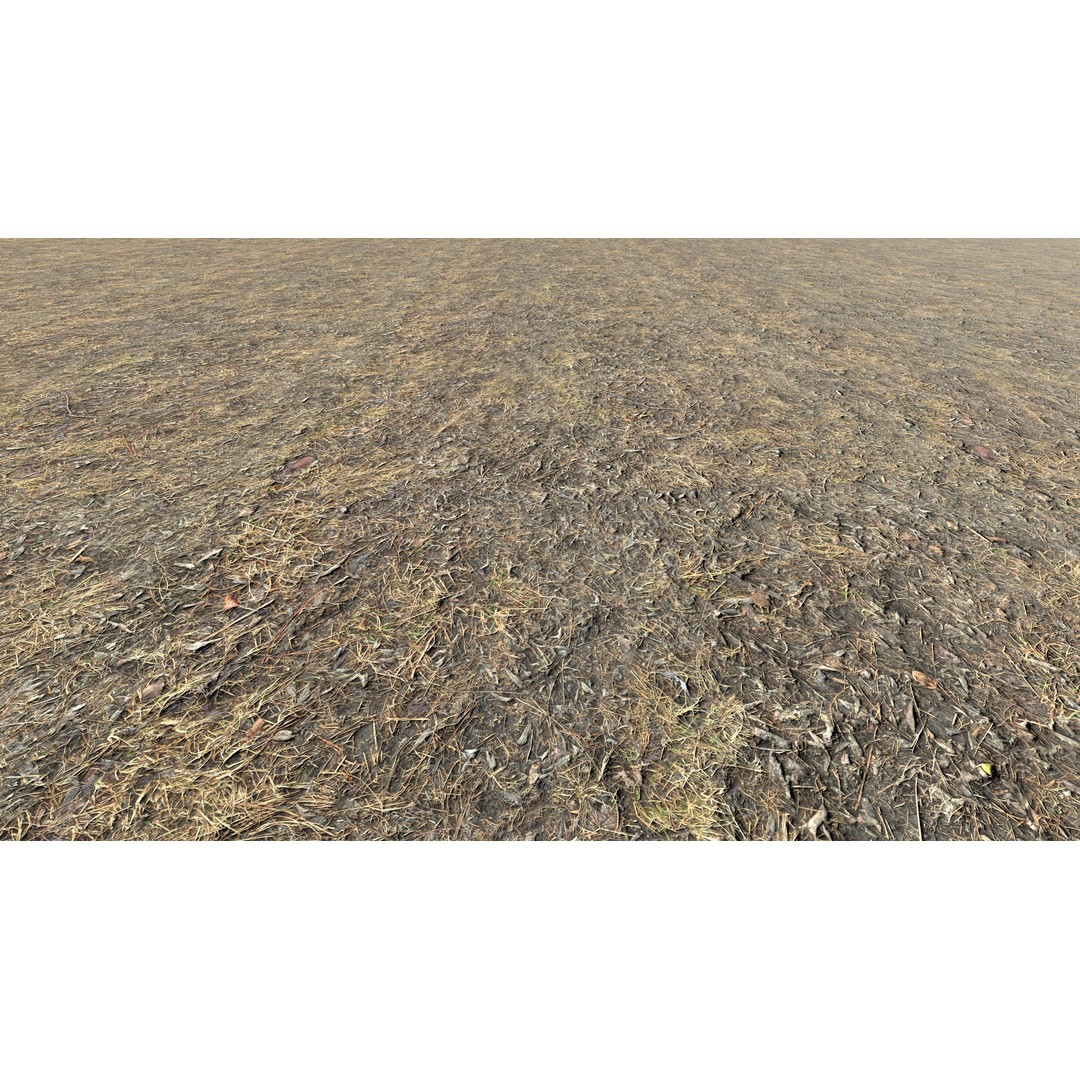 Realistic Terrain Textures 3D Model – PBR Natural Textures, 2K-6K Resolutions - View 8