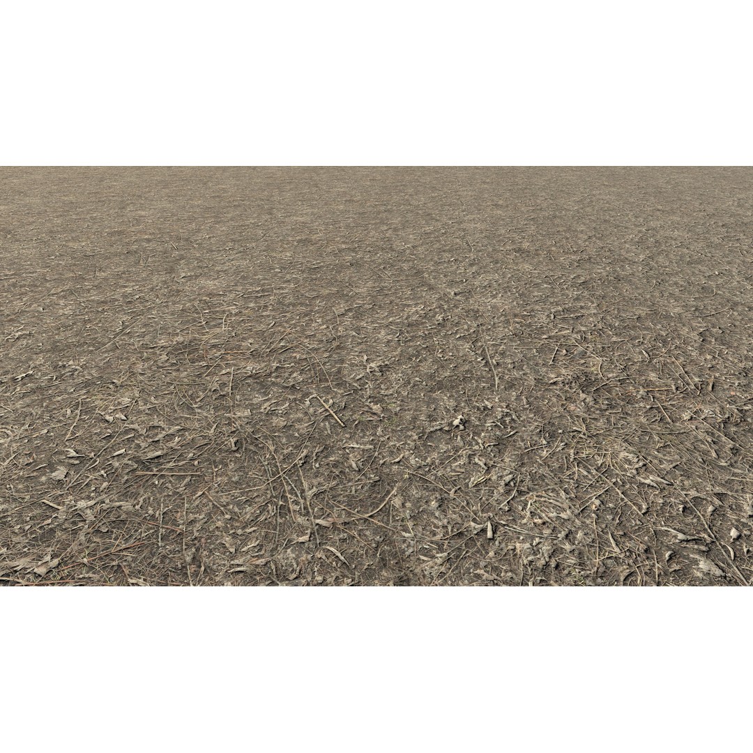 Realistic Terrain Textures 3D Model – PBR Natural Textures, 2K-6K Resolutions - View 9
