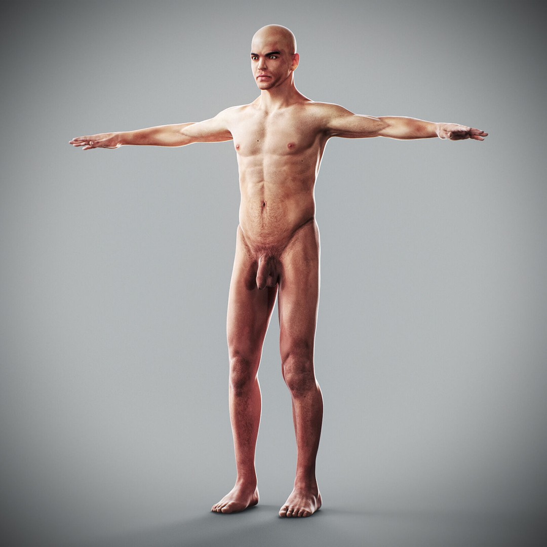 Human Male Anatomy 3D Model – Detailed Anatomical Systems, FBX, OBJ - View 20