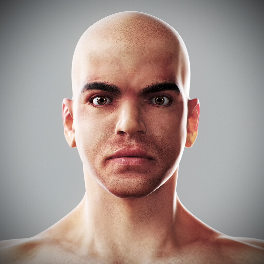 Human Male Anatomy 3D Model – Detailed Anatomical Systems, FBX, OBJ - View 25