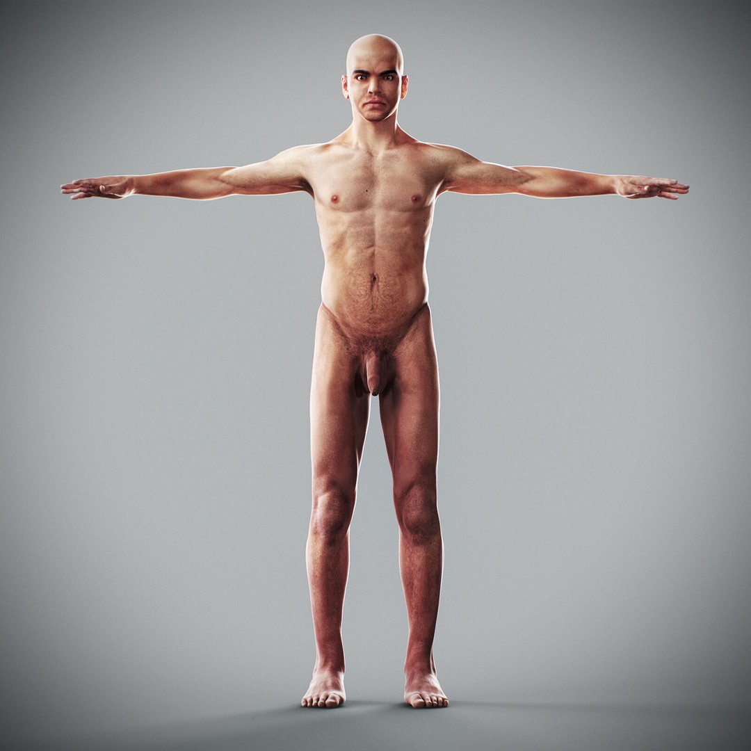 Human Male Anatomy 3D Model – Detailed Anatomical Systems, FBX, OBJ - View 5