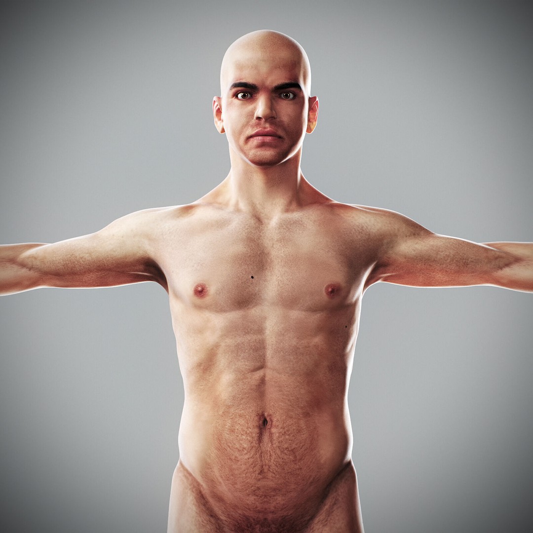 Human Male Anatomy 3D Model – Detailed Anatomical Systems, FBX, OBJ - View 57