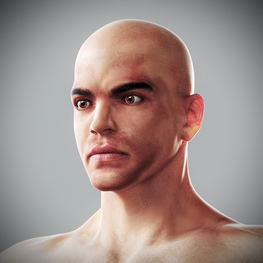 Human Male Anatomy 3D Model – Detailed Anatomical Systems, FBX, OBJ - View 59