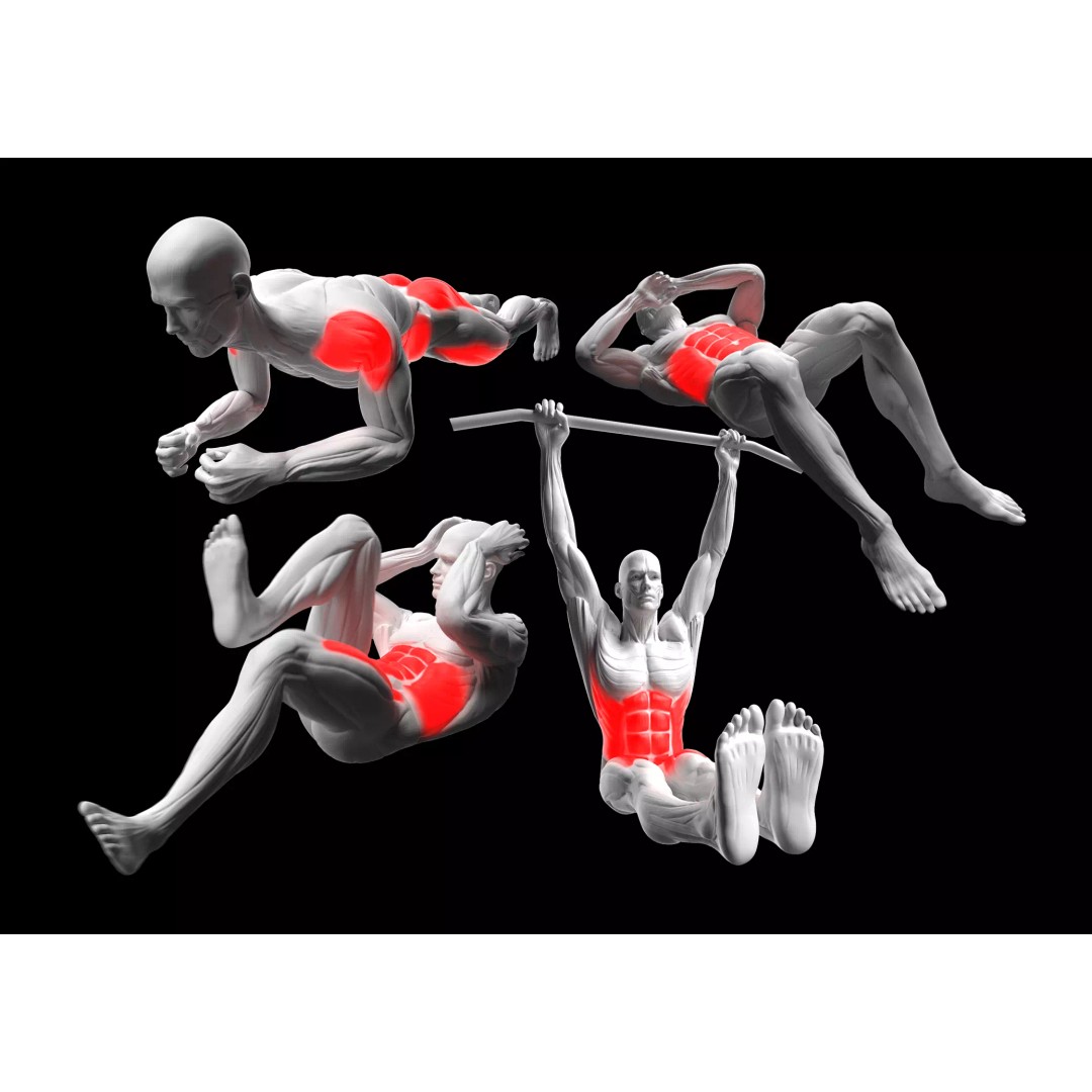 Abdominal Exercises 3D Model – Animated Rigged Character with PBR Textures - View 2