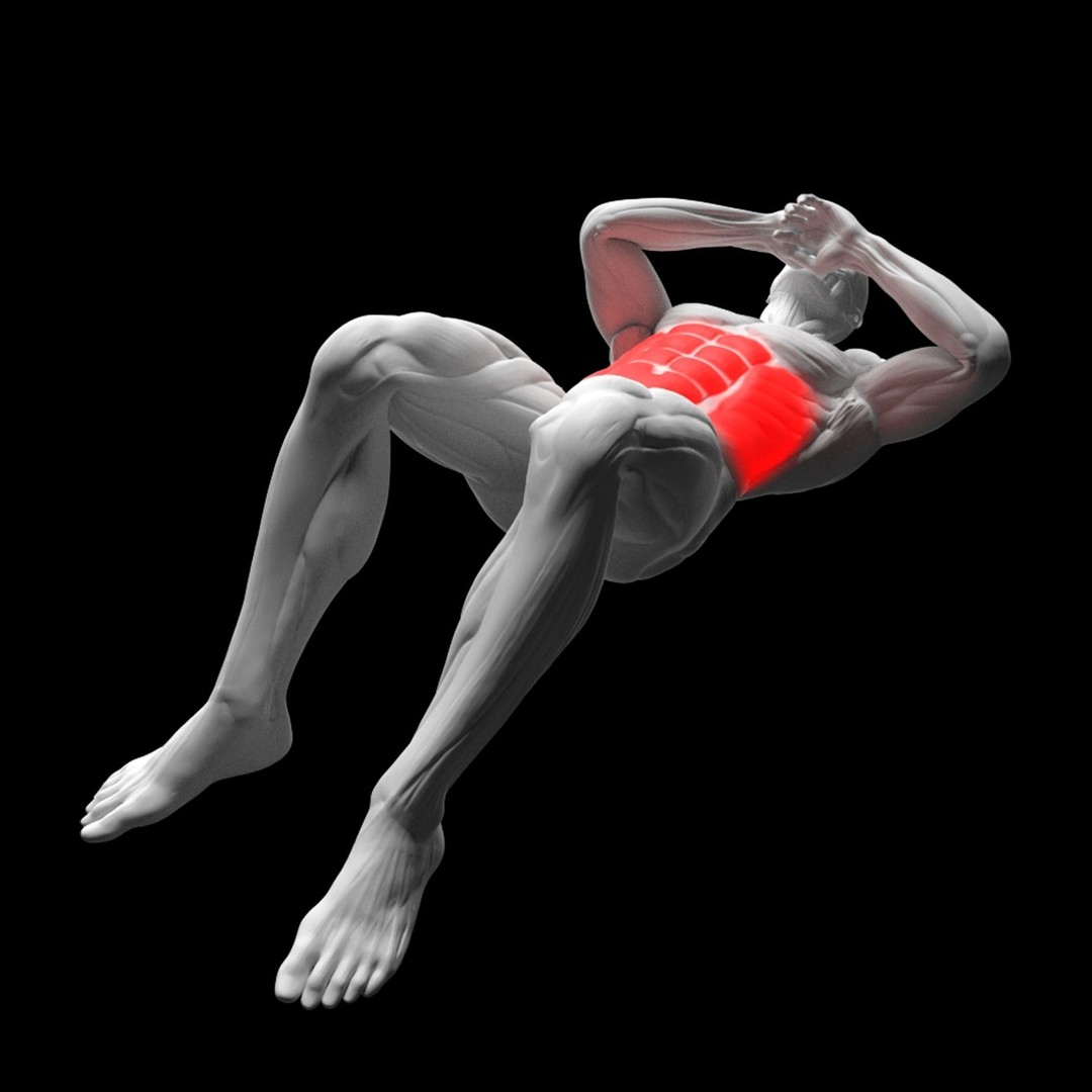 Abdominal Exercises 3D Model – Animated Rigged Character with PBR Textures - View 6