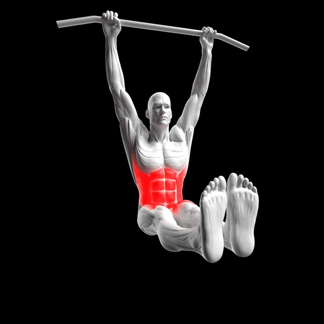 Abdominal Exercises 3D Model – Animated Rigged Character with PBR Textures - View 9