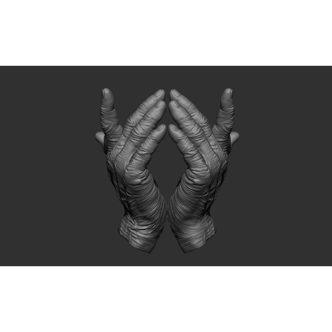 Old Man Hand Poses 3D Model – Realistic ZBrush Anatomy Collection - View 10
