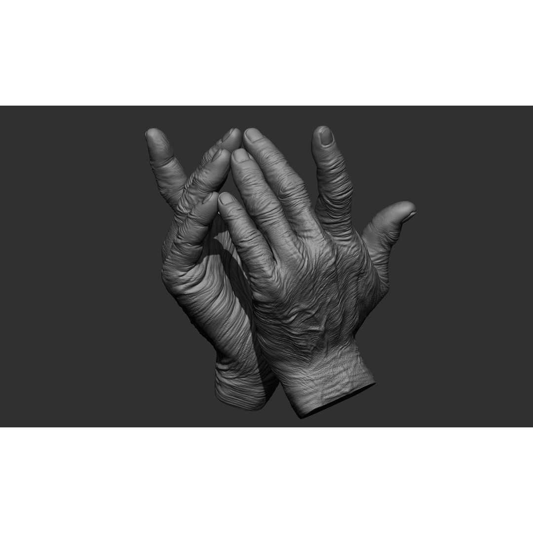 Old Man Hand Poses 3D Model – Realistic ZBrush Anatomy Collection - View 11