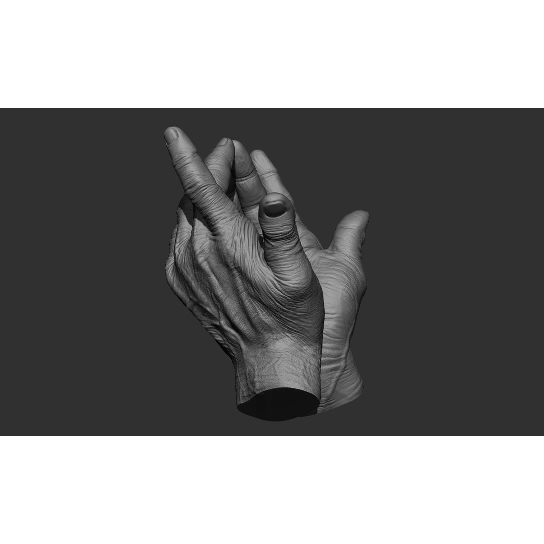 Old Man Hand Poses 3D Model – Realistic ZBrush Anatomy Collection - View 12