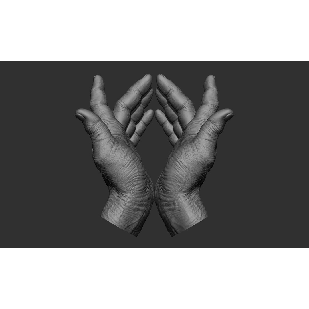 Old Man Hand Poses 3D Model – Realistic ZBrush Anatomy Collection - View 13