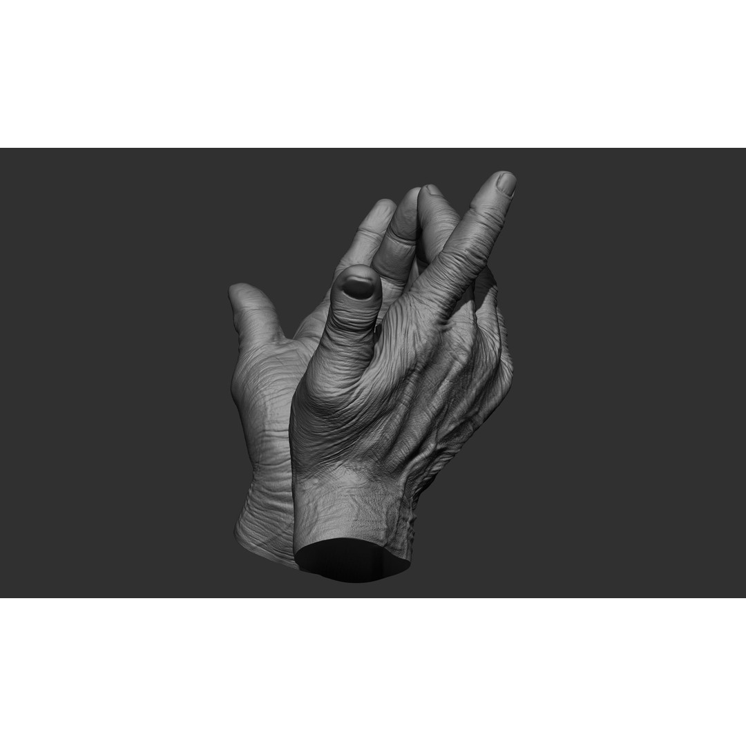 Old Man Hand Poses 3D Model – Realistic ZBrush Anatomy Collection - View 14