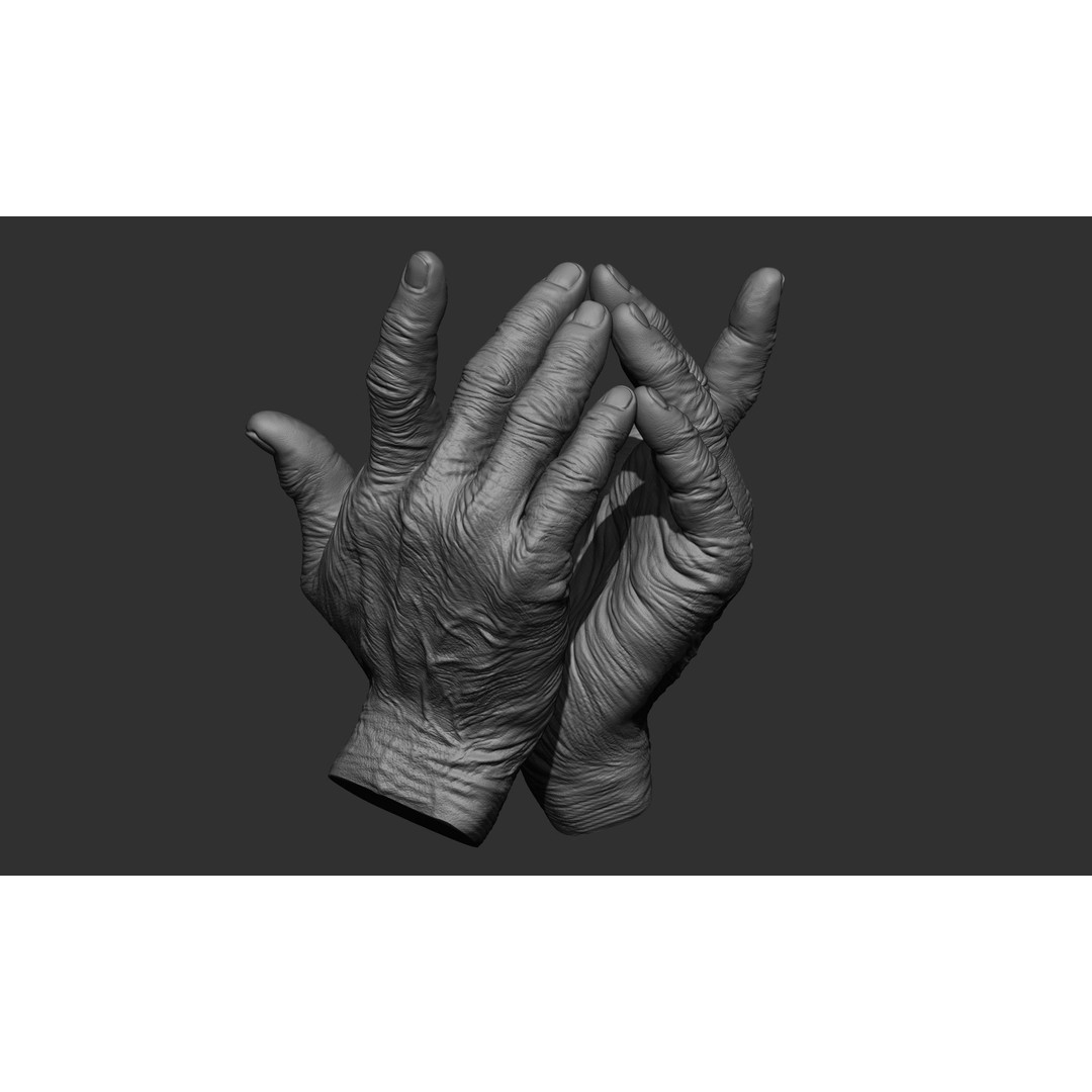 Old Man Hand Poses 3D Model – Realistic ZBrush Anatomy Collection - View 15