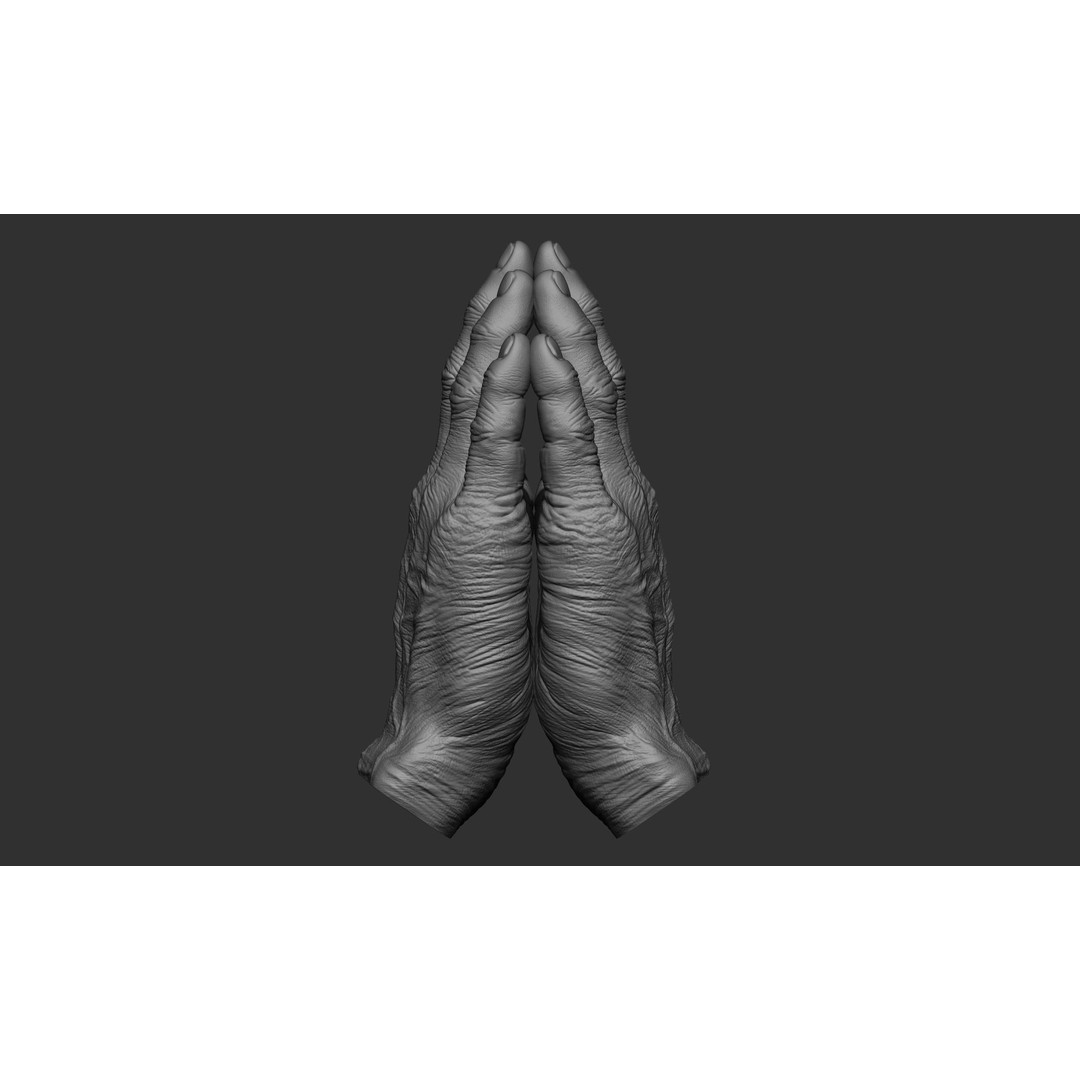 Old Man Hand Poses 3D Model – Realistic ZBrush Anatomy Collection - View 16