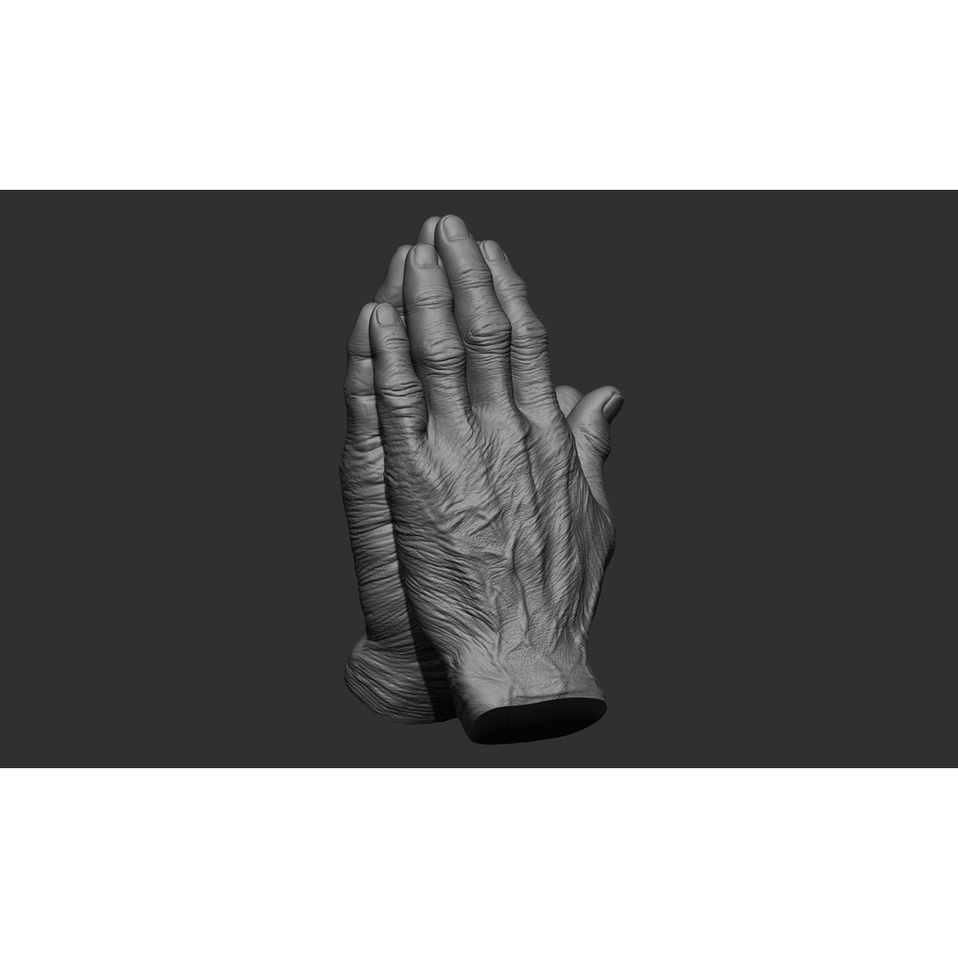 Old Man Hand Poses 3D Model – Realistic ZBrush Anatomy Collection - View 17