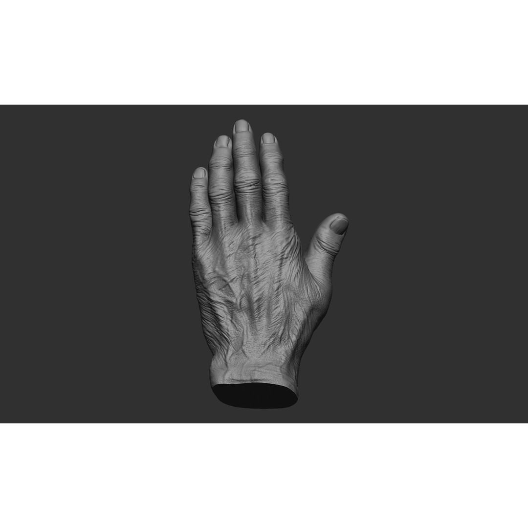 Old Man Hand Poses 3D Model – Realistic ZBrush Anatomy Collection - View 18