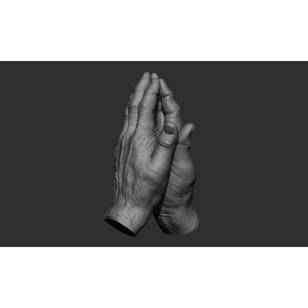 Old Man Hand Poses 3D Model – Realistic ZBrush Anatomy Collection - View 19