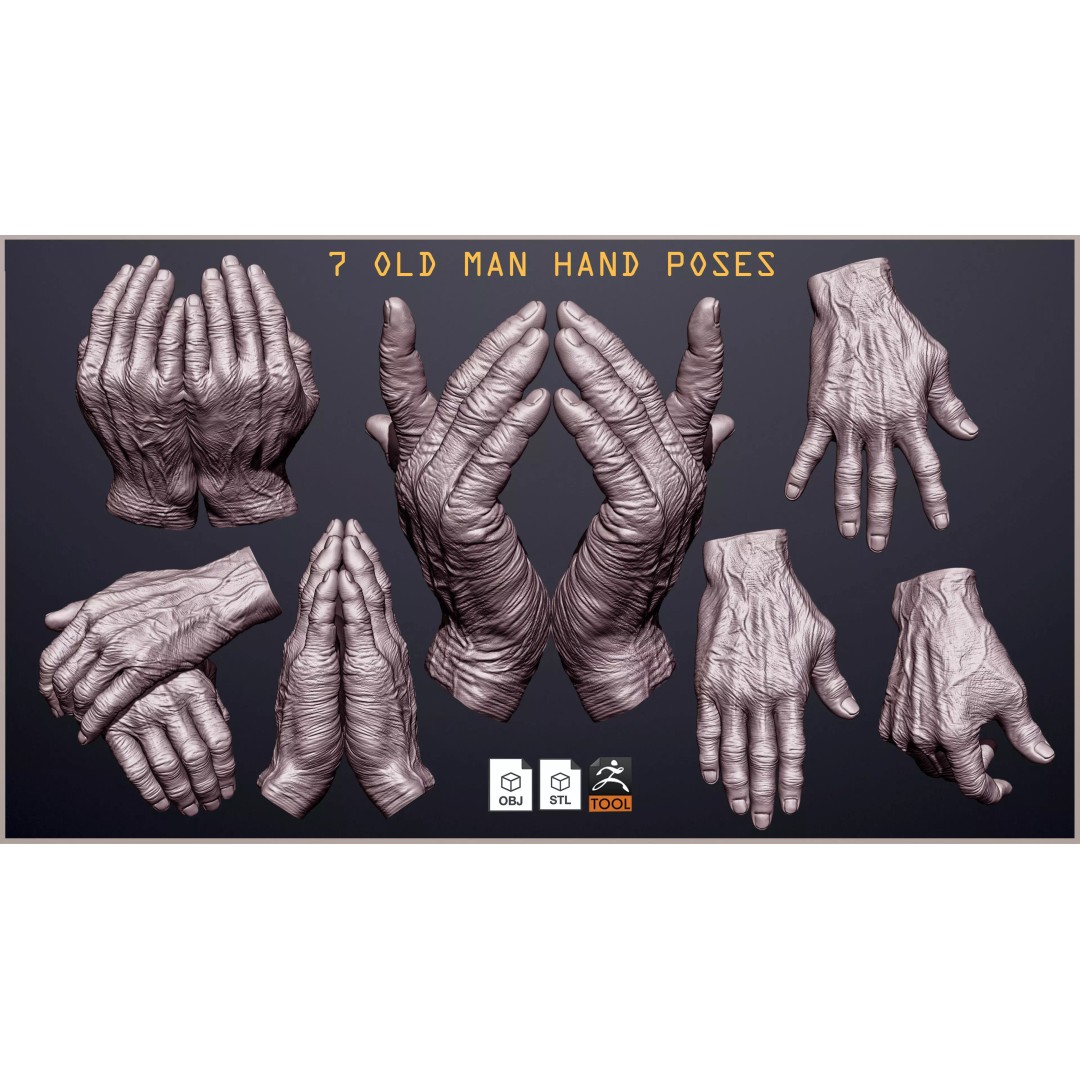 Old Man Hand Poses 3D Model – Realistic ZBrush Anatomy Collection - View 2