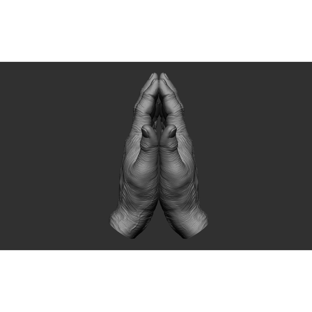 Old Man Hand Poses 3D Model – Realistic ZBrush Anatomy Collection - View 20