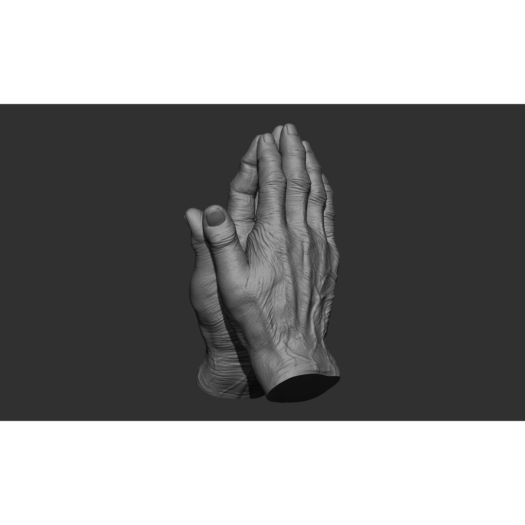 Old Man Hand Poses 3D Model – Realistic ZBrush Anatomy Collection - View 21
