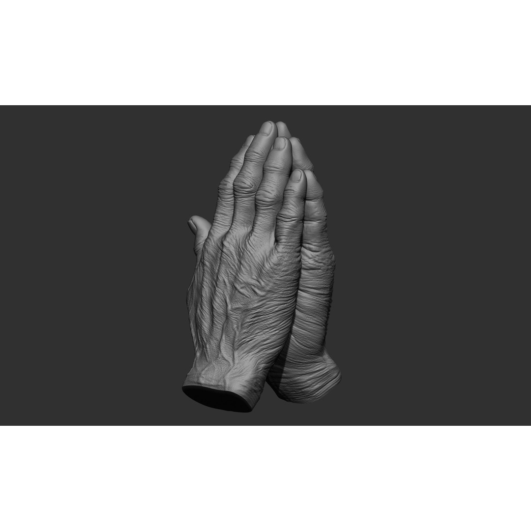Old Man Hand Poses 3D Model – Realistic ZBrush Anatomy Collection - View 22