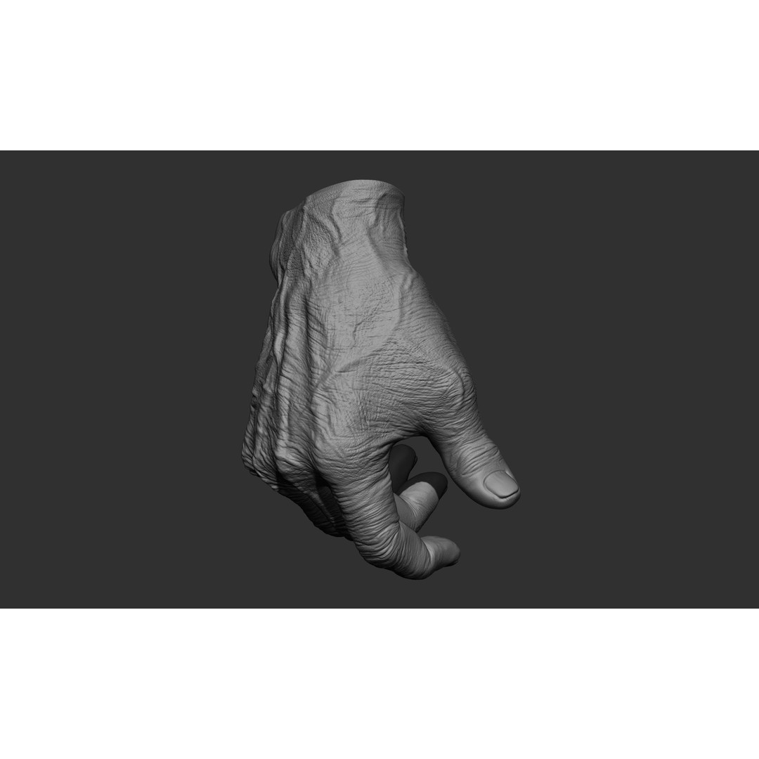Old Man Hand Poses 3D Model – Realistic ZBrush Anatomy Collection - View 23