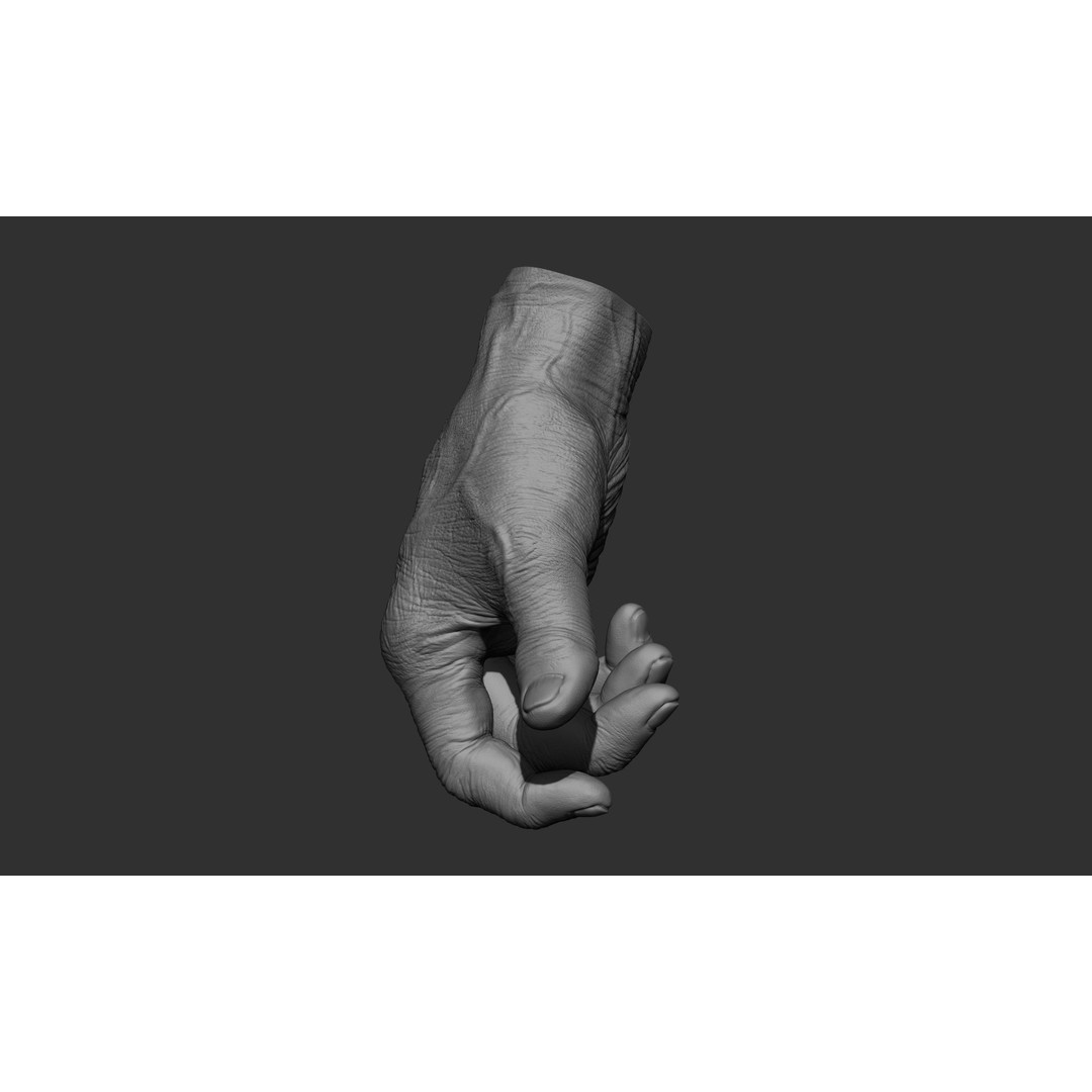 Old Man Hand Poses 3D Model – Realistic ZBrush Anatomy Collection - View 24
