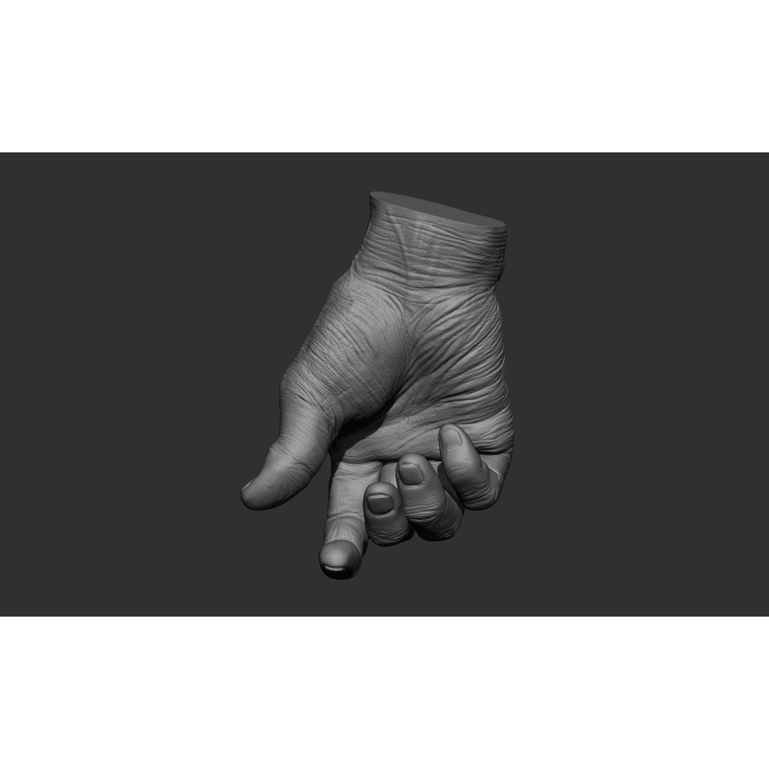 Old Man Hand Poses 3D Model – Realistic ZBrush Anatomy Collection - View 25