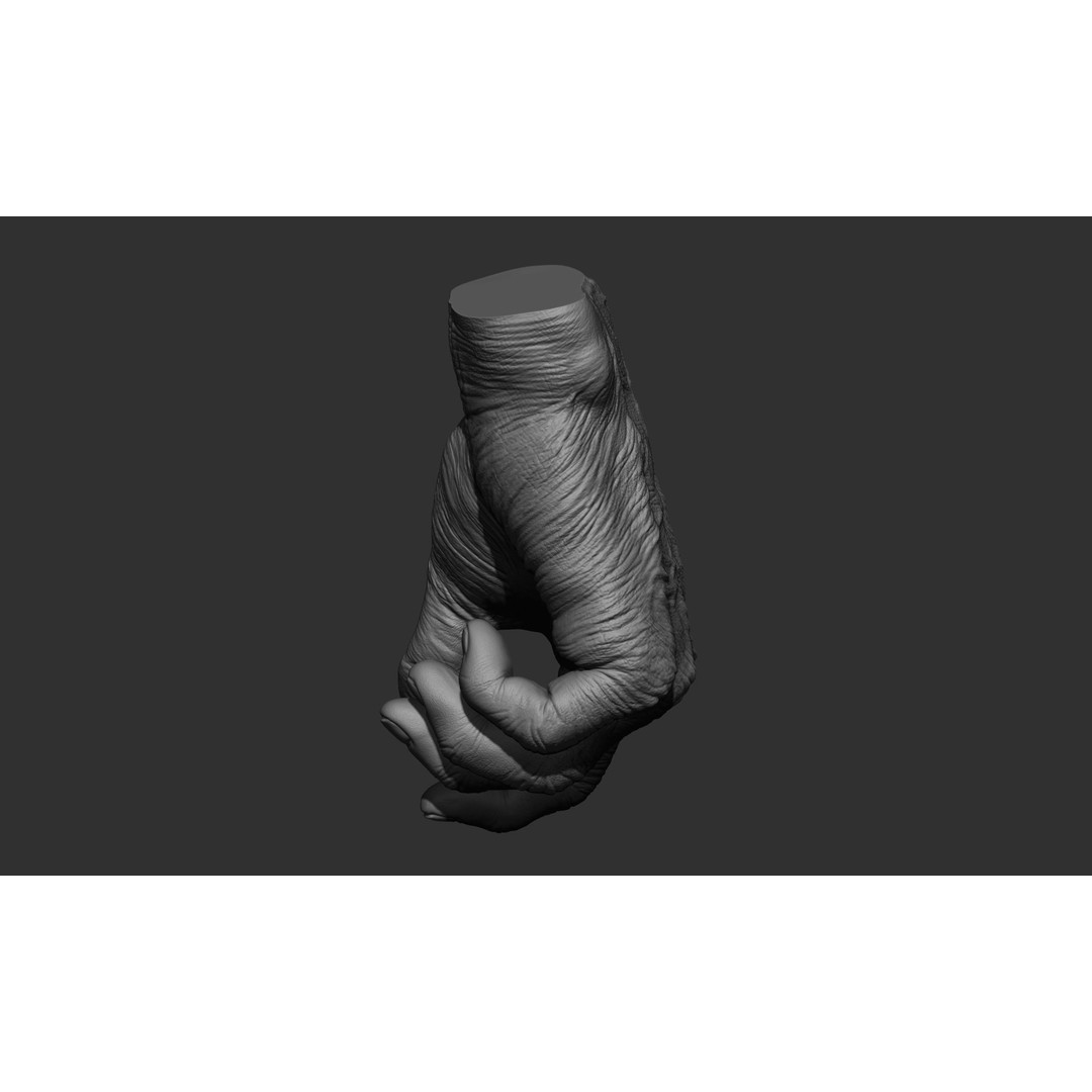Old Man Hand Poses 3D Model – Realistic ZBrush Anatomy Collection - View 26