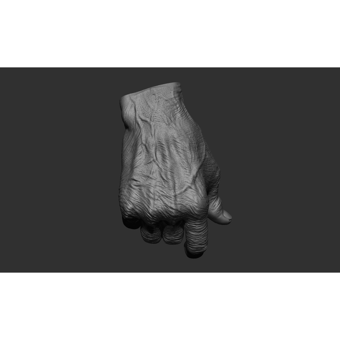 Old Man Hand Poses 3D Model – Realistic ZBrush Anatomy Collection - View 27