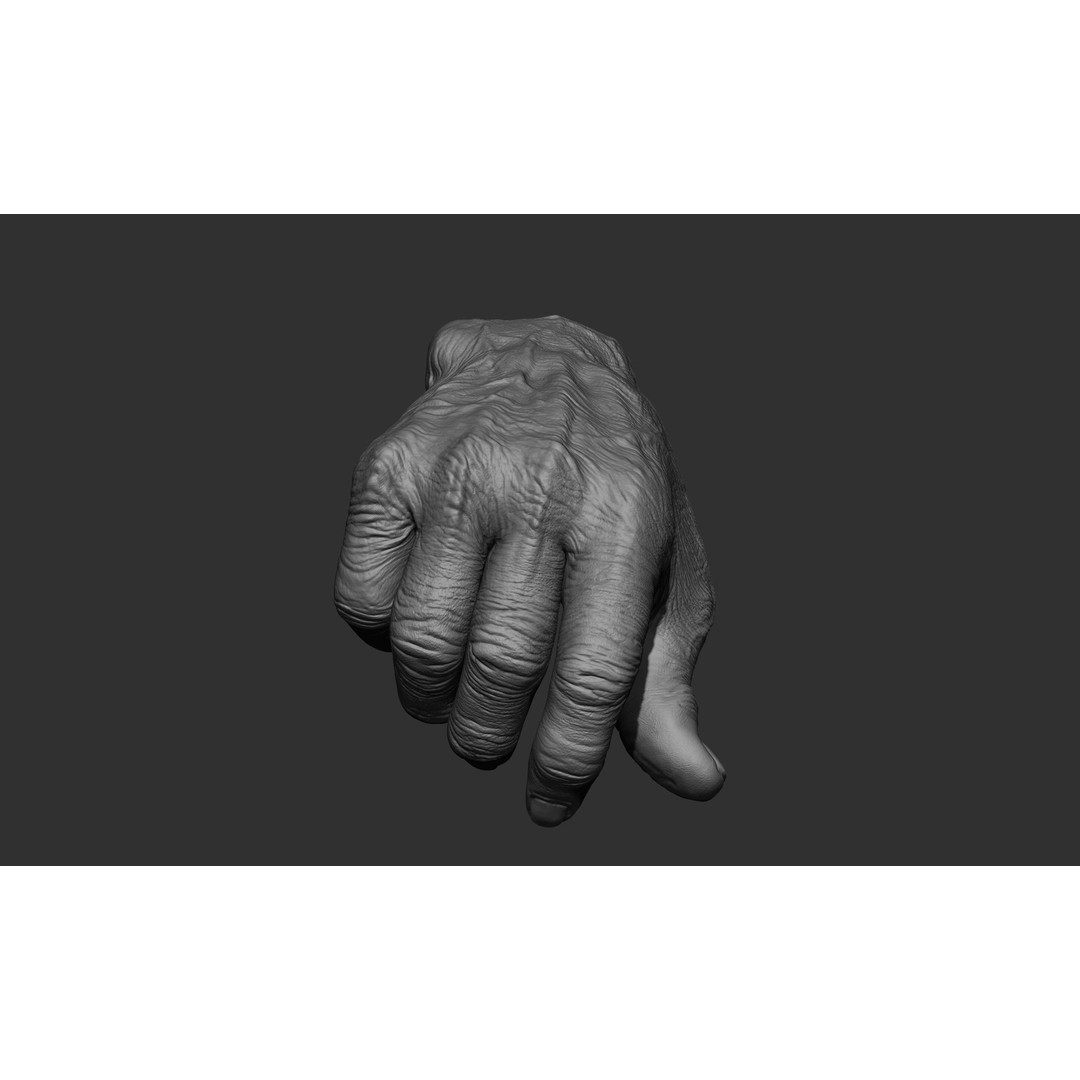Old Man Hand Poses 3D Model – Realistic ZBrush Anatomy Collection - View 28