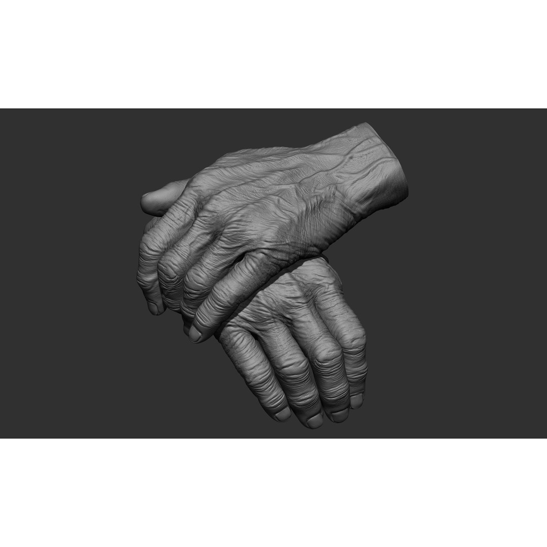 Old Man Hand Poses 3D Model – Realistic ZBrush Anatomy Collection - View 29