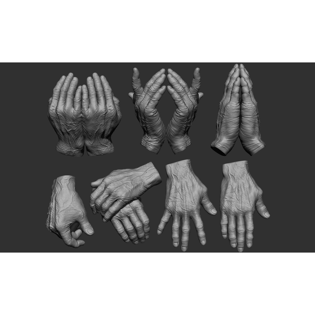 Old Man Hand Poses 3D Model – Realistic ZBrush Anatomy Collection - View 3