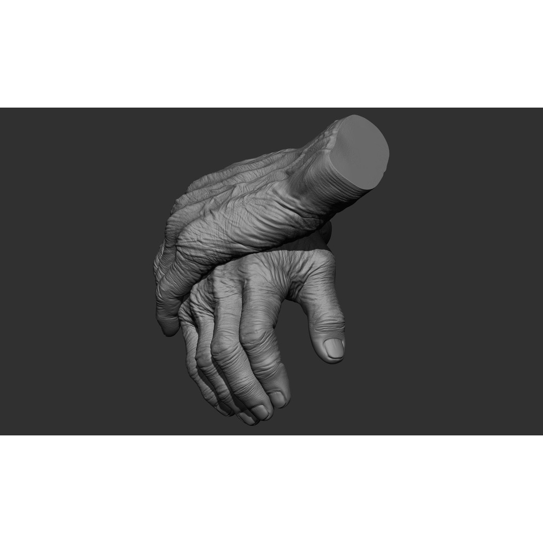 Old Man Hand Poses 3D Model – Realistic ZBrush Anatomy Collection - View 30