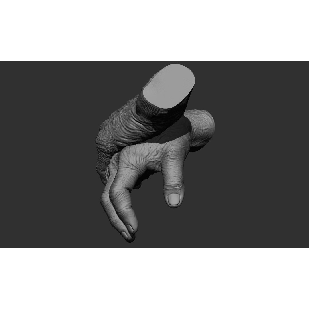Old Man Hand Poses 3D Model – Realistic ZBrush Anatomy Collection - View 31