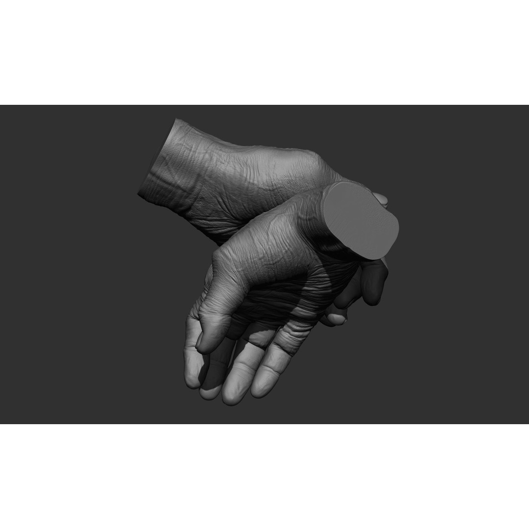 Old Man Hand Poses 3D Model – Realistic ZBrush Anatomy Collection - View 32