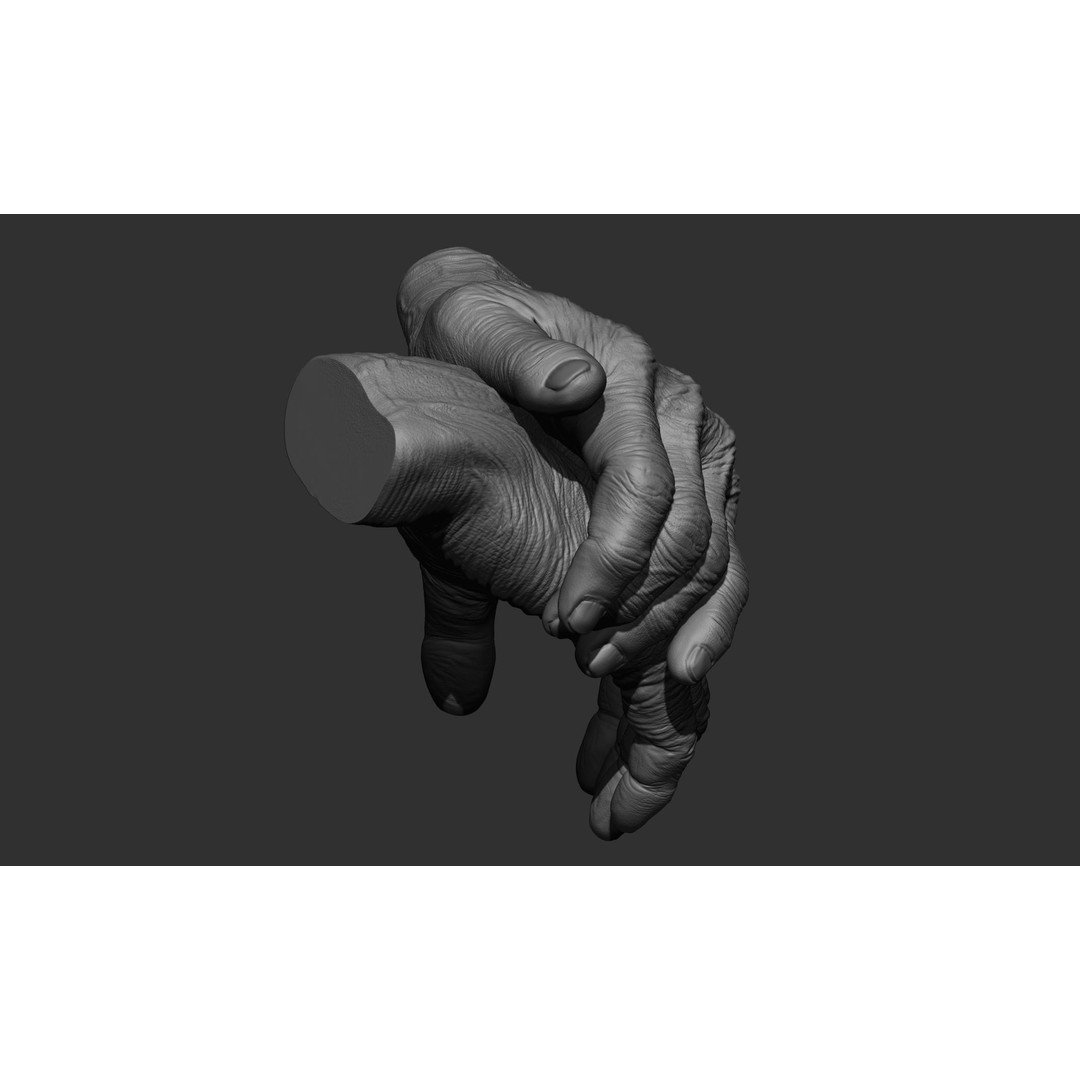 Old Man Hand Poses 3D Model – Realistic ZBrush Anatomy Collection - View 33