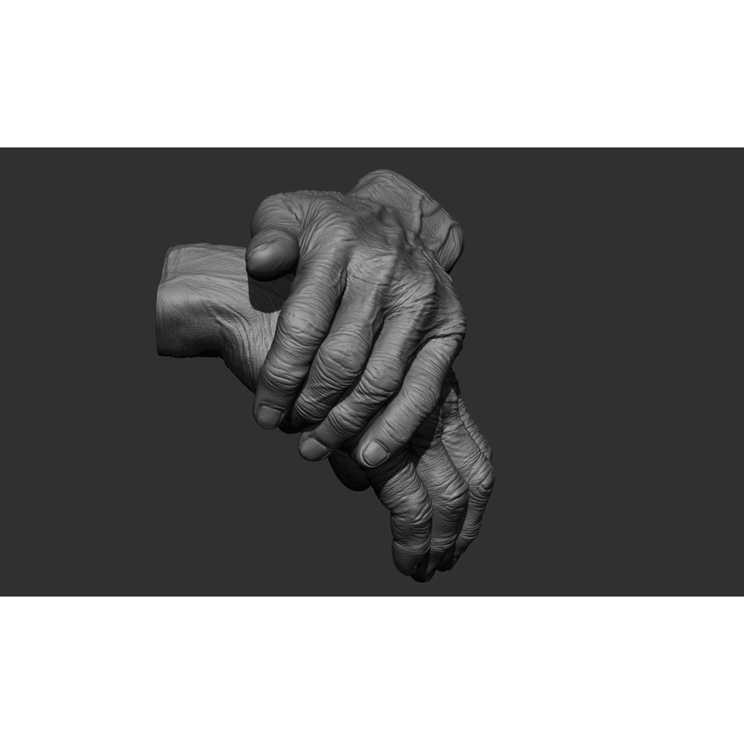 Old Man Hand Poses 3D Model – Realistic ZBrush Anatomy Collection - View 34