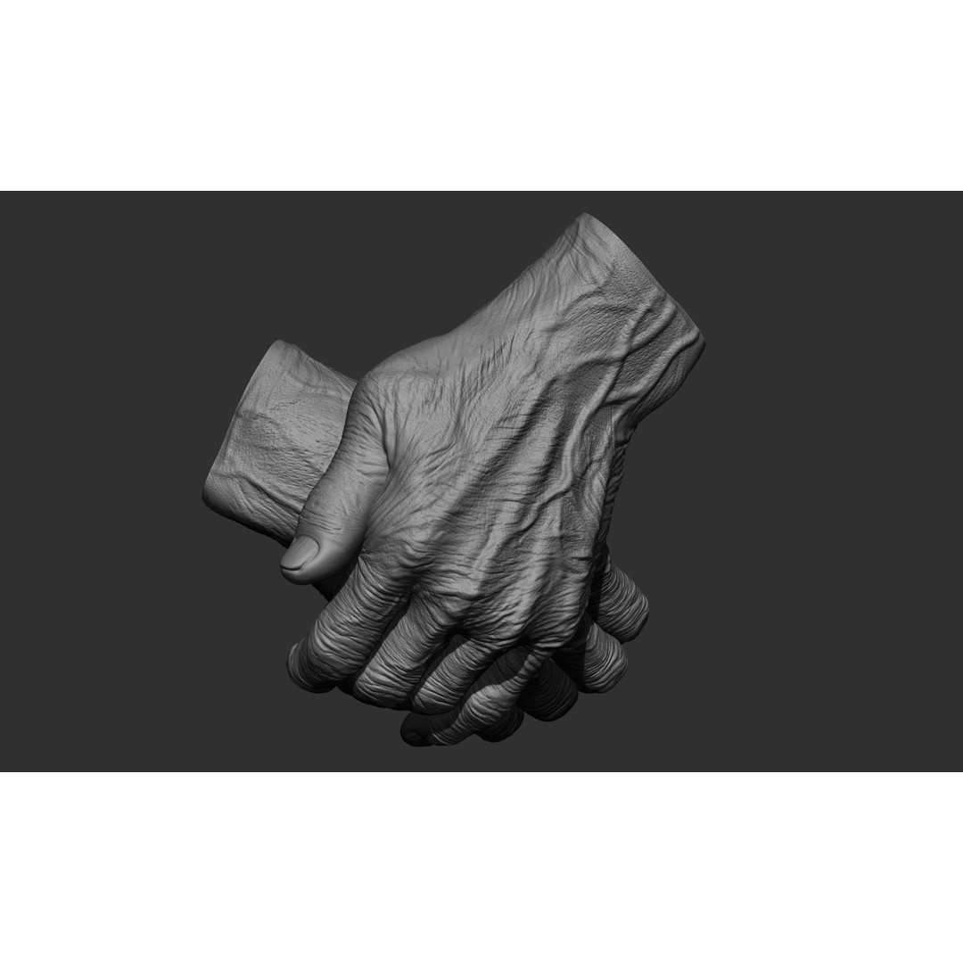 Old Man Hand Poses 3D Model – Realistic ZBrush Anatomy Collection - View 35